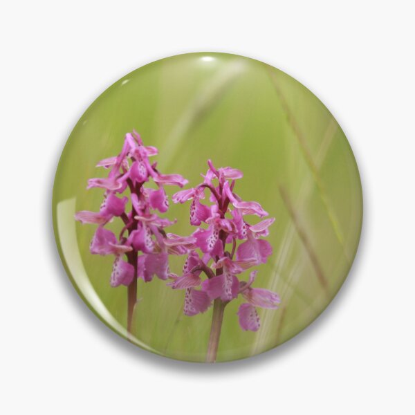 Item preview, Orchid twins designed and sold by miradorpictures.