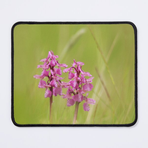 Item preview, Orchid twins designed and sold by miradorpictures.
