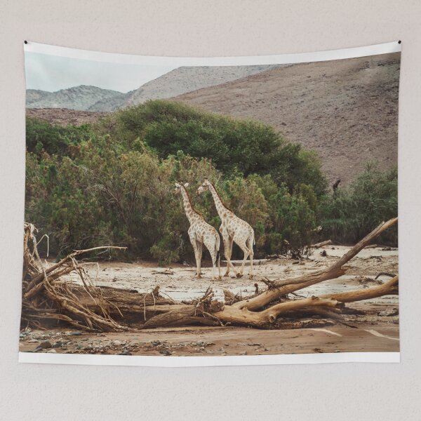 Item preview, giraffe in namibia designed and sold by franckreporter.
