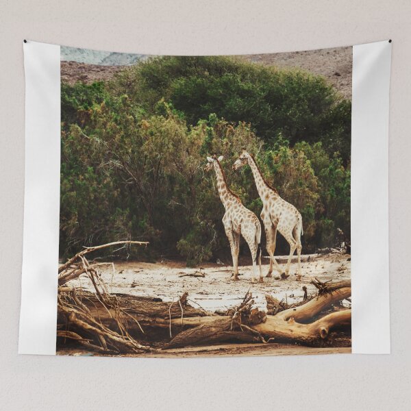 Item preview, giraffe in namibia designed and sold by franckreporter.