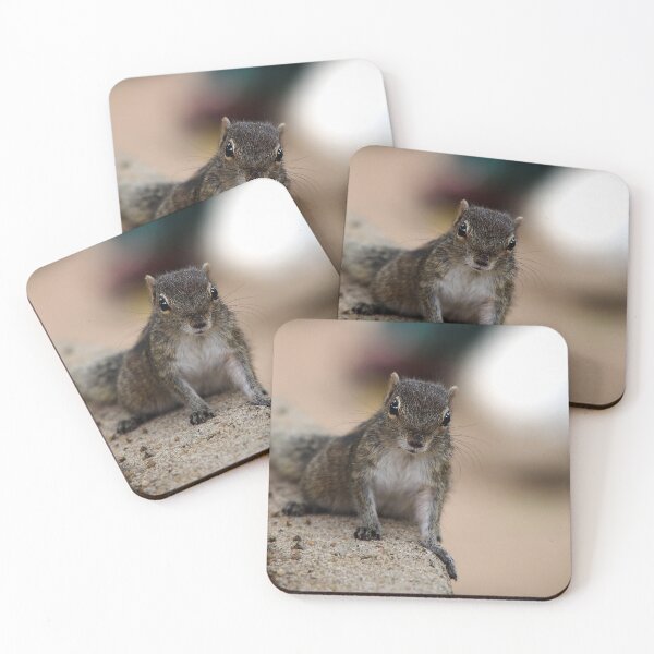 Item preview, Squirrel designed and sold by Ettenhuber.