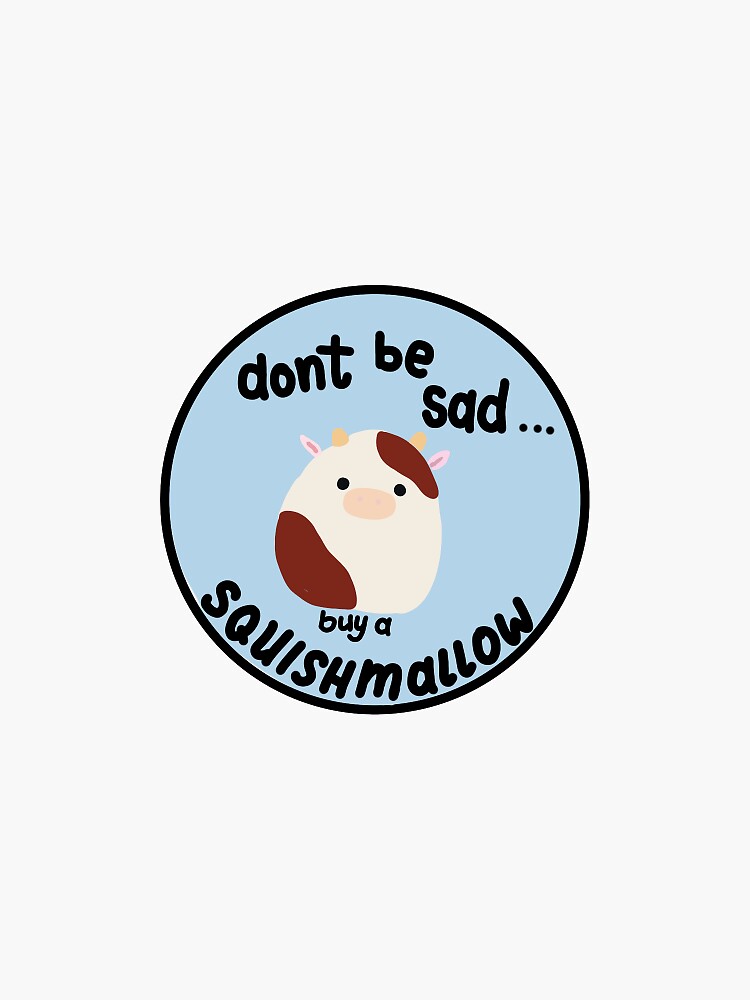 sad squishmallow