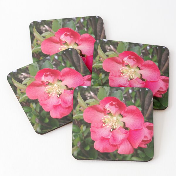 Item preview, Japanese Quince designed and sold by Krystina Starks.