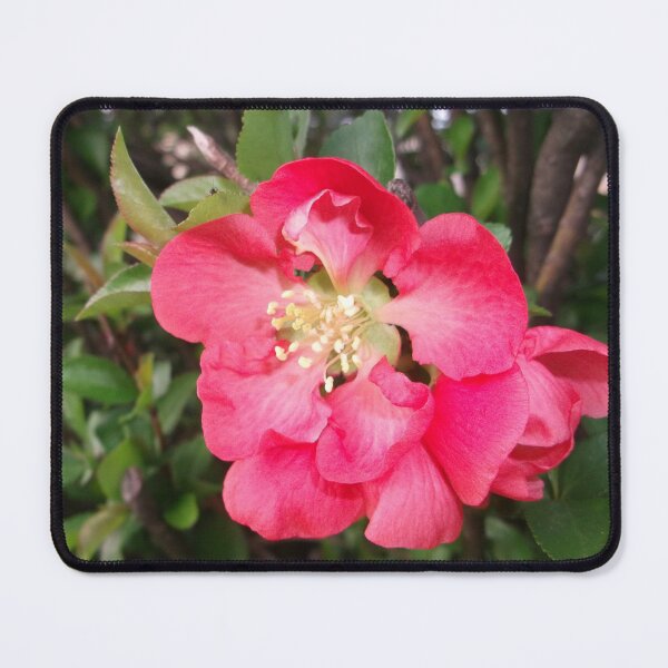 Item preview, Japanese Quince designed and sold by Krystina Starks.