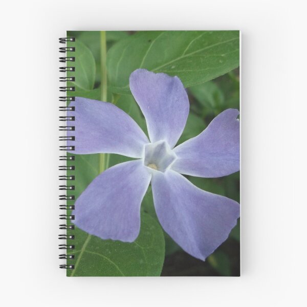 Item preview, Periwinkle designed and sold by Krystina Starks.