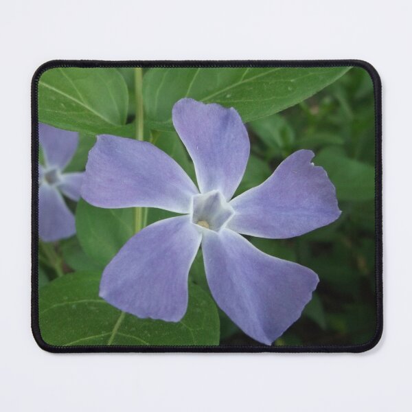 Item preview, Periwinkle designed and sold by Krystina Starks.