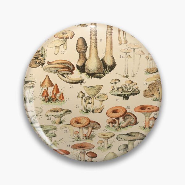 Item preview, Vintage Mushroom Chart - Adolphe Millot designed and sold by ind3finite.