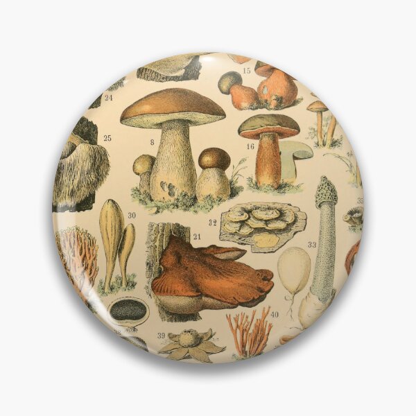 Item preview, Vintage Mushroom Chart - Adolphe Millot designed and sold by ind3finite.