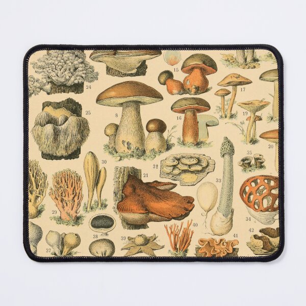 Item preview, Vintage Mushroom Chart - Adolphe Millot designed and sold by ind3finite.