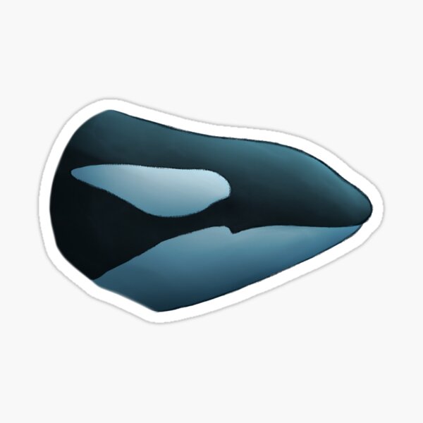 Kasatka the Orca Sticker