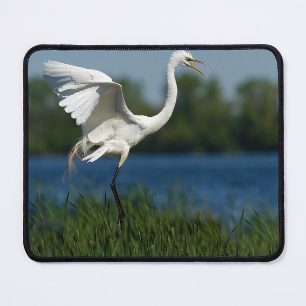 Item preview, Great Egret 2014-17 designed and sold by Thomasyoung.