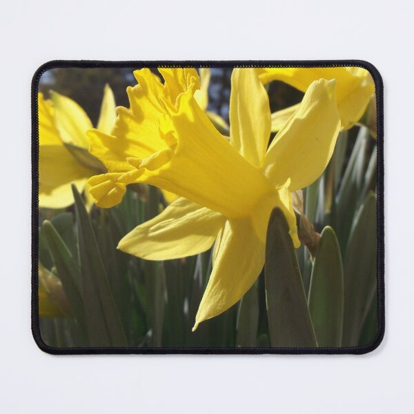 Item preview, Daffodil designed and sold by Krystina Starks.