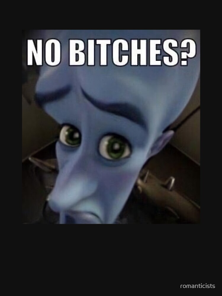 "No Bitches? Megamind meme" T-shirt for Sale by romanticists