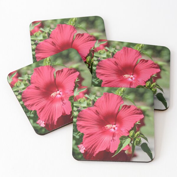 Item preview, Hibisco designed and sold by Krystina Starks.