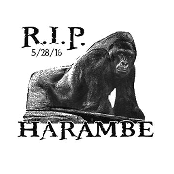 barstool harambe shirt, pardon my take harambe Pullover Hoodie for Sale  by ismailalrawi