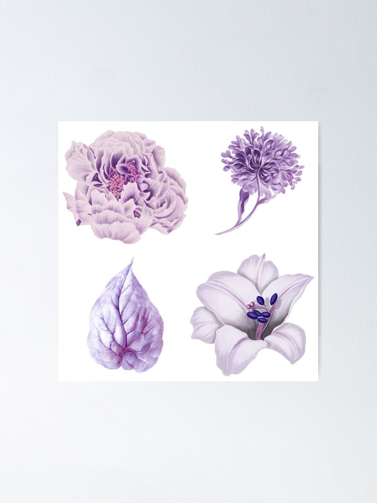 Póster «Colección vintage de flores y hojas moradas» de SidhuKeet1 |  Redbubble