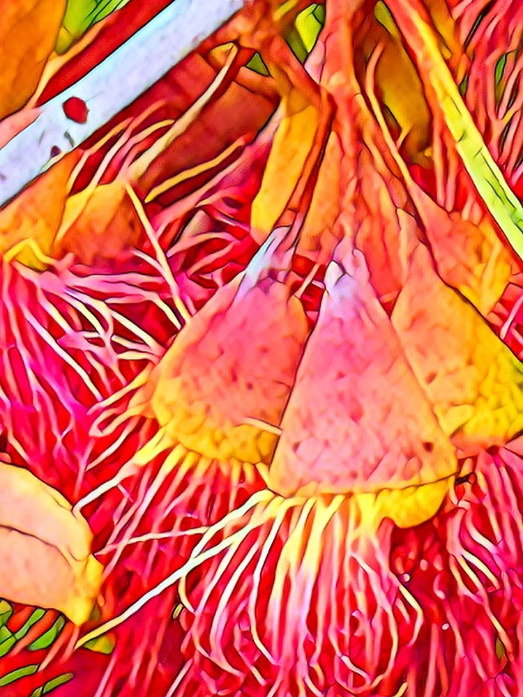 Imagen 4 de 4, Funda de iPhone con la obra Chicles de Naranja, diseñada y vendida por RandaRubyRed.