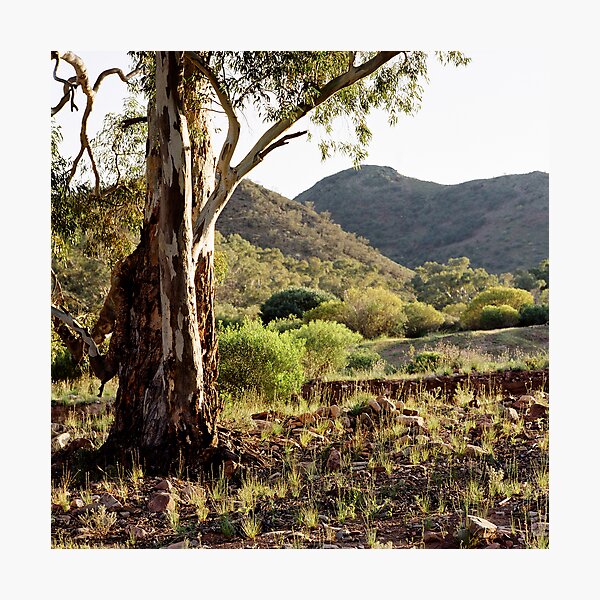Item preview, untitled, Flinders Ranges designed and sold by mgimagery.