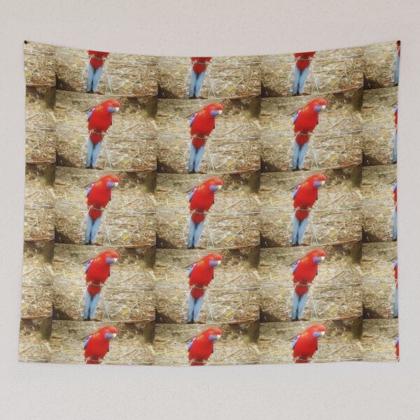Item preview, *Inquisitive Rosella at Sassafras, Vic. Australia* designed and sold by EdsMum.