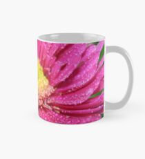 Asteraceae Tasse (Standard)