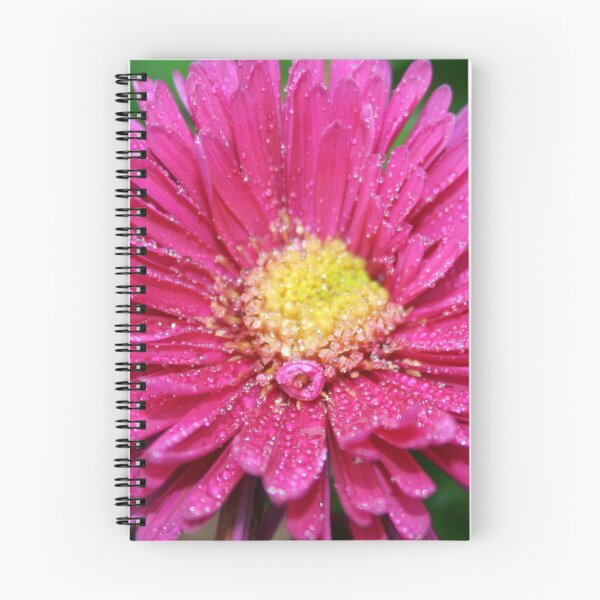 Item preview, Asteraceae designed and sold by BirgitOehmig.