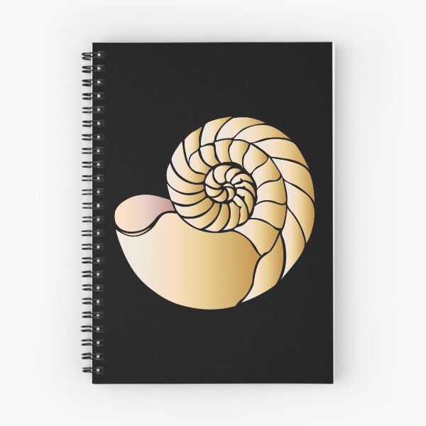 Item preview, Seashell designed and sold by 1XOROSE.