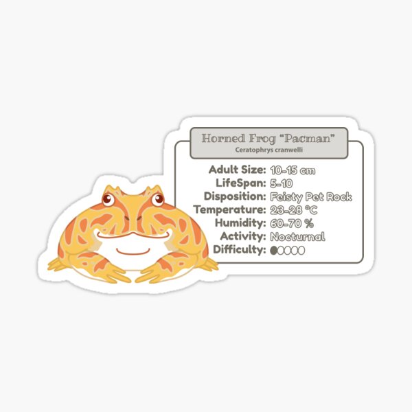 Item preview, Pacman Frog (Albino) - Info - Metric designed and sold by TheFrogWrangler.