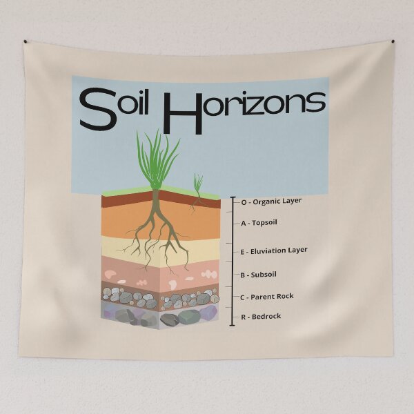 Item preview, Soil Horizons Geology Soil Science designed and sold by muradian7.