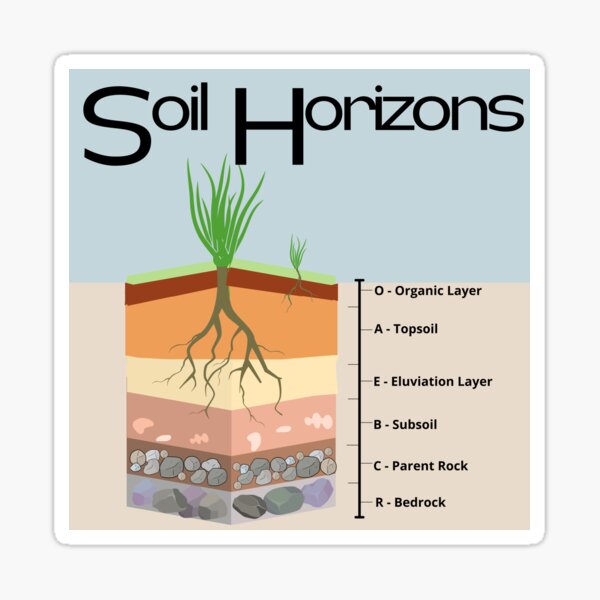 Item preview, Soil Horizons Geology Soil Science designed and sold by muradian7.