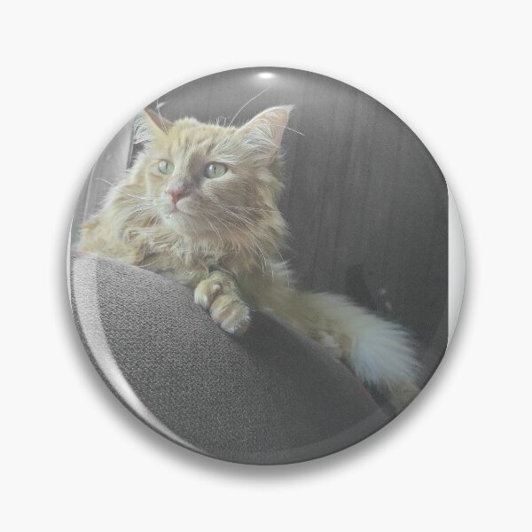 Tabby cat Pin