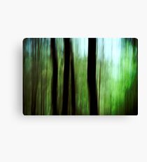 Bushwalking Canvas Print