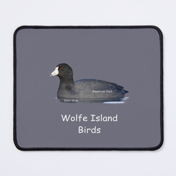 Item preview, Wolfe Island Birds American Coot designed and sold by qlajt.
