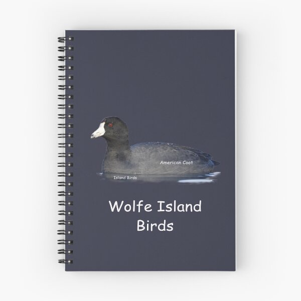 Item preview, Wolfe Island Birds American Coot designed and sold by qlajt.