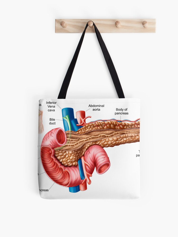 Anatomy of human pelvic bone. Tote Bag for Sale by StocktrekImages