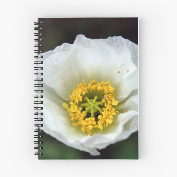 Item preview, Papaver designed and sold by BirgitOehmig.