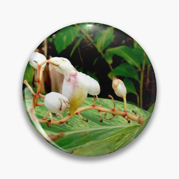 Item preview, Tropical Flowers designed and sold by Monika's Shop.