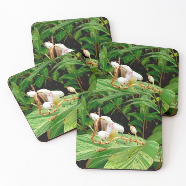 Item preview, Tropical Flowers designed and sold by Monika's Shop.