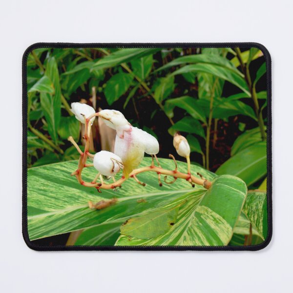 Item preview, Tropical Flowers designed and sold by Monika's Shop.