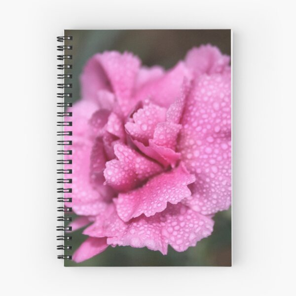 Item preview, Dianthus designed and sold by BirgitOehmig.