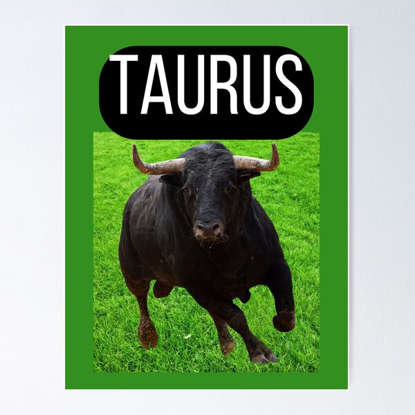 Item preview, TAURUS HOROSCOPE designed and sold by Highhocreations.