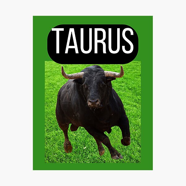 Item preview, TAURUS HOROSCOPE designed and sold by Highhocreations.