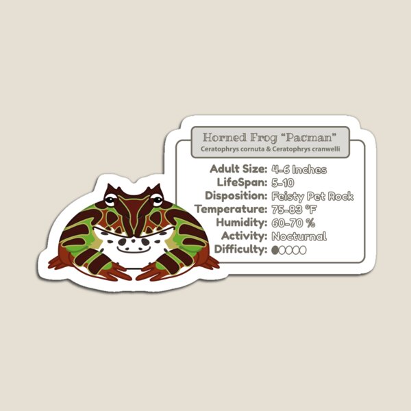 Item preview, Fantasy Pacman Frog (Tri-Colour) - Info - Imperial designed and sold by TheFrogWrangler.