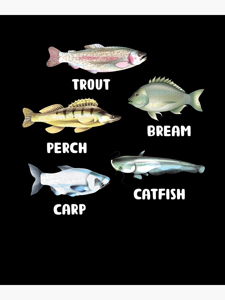 Vintage Fish Identification Chart Fishing  Tapestry for Sale by SuzyTanner