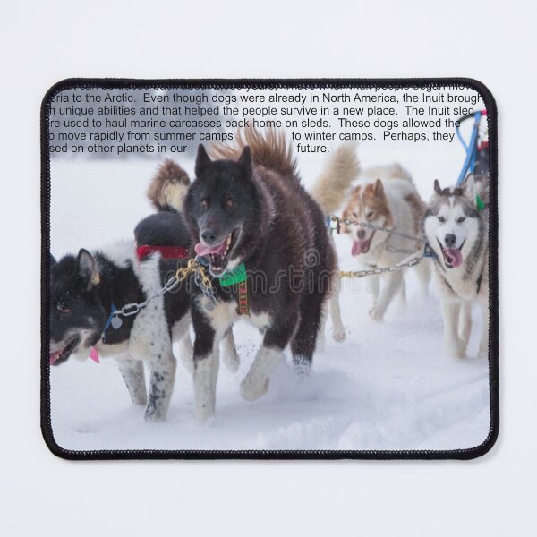 Item preview, Sled Dogs Art designed and sold by Alicefish.