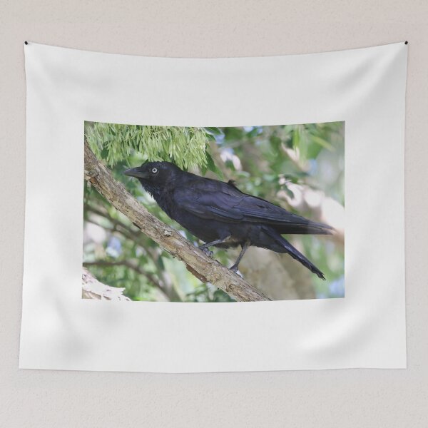 Item preview, Torresian Crow designed and sold by Genevieve Hanlon Art and Photography.