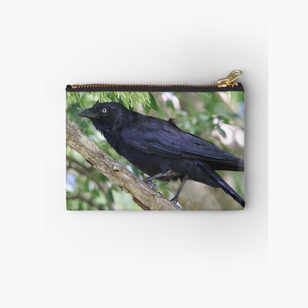Item preview, Torresian Crow designed and sold by Genevieve Hanlon Art and Photography.