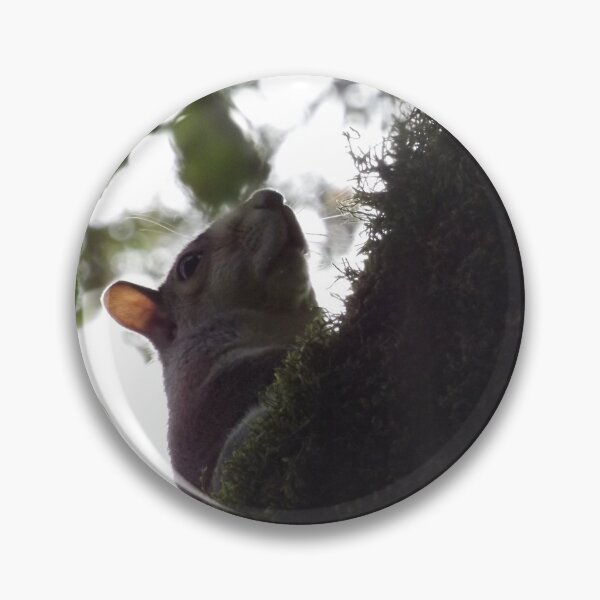 Item preview, Tree Rat designed and sold by fabledtales.