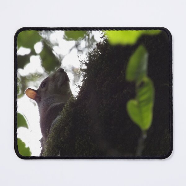 Item preview, Tree Rat designed and sold by fabledtales.