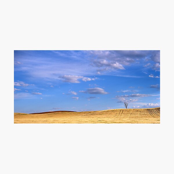 Item preview, Afternoon Glow, Vinegar Hills designed and sold by mgimagery.