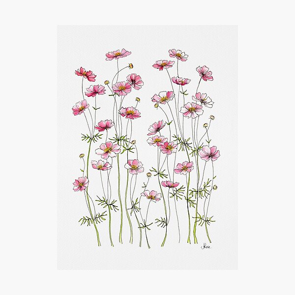 Pink Flowers Wall Art for Sale